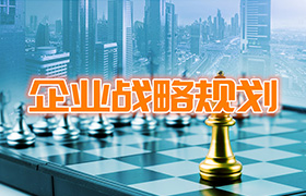 戰(zhàn)略規(guī)劃咨詢(xún)