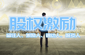 股權(quán)激勵(lì)咨詢(xún)