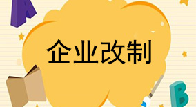 企業(yè)改制咨詢