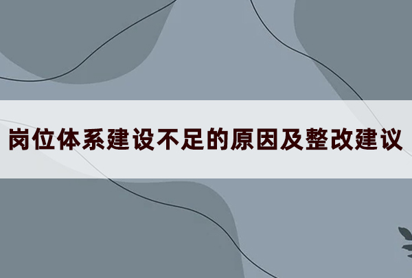 崗位體系建設(shè)不足的原因及整改建議